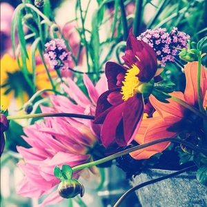 Meet your Posher, Ingrid